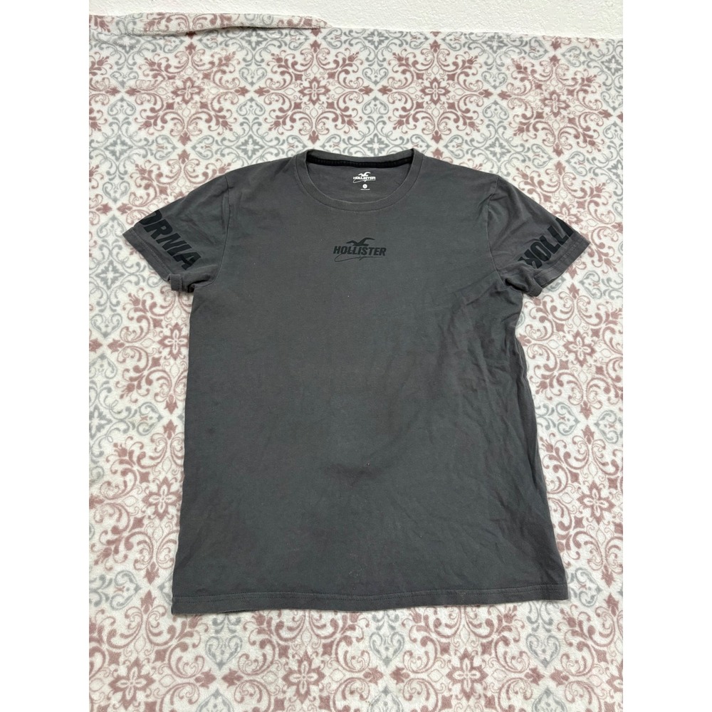 Hollister California Mens Graphic T-Shirt Gray Short Sleeve Small Logo Tee